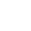 icon log-in